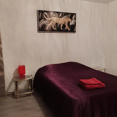 Apartment Spacieux Et Lumineux T5 Avec 4 Chambres, Au Centre-ville De Mulhouse, Grand Balcon, Grand Ecran Plat