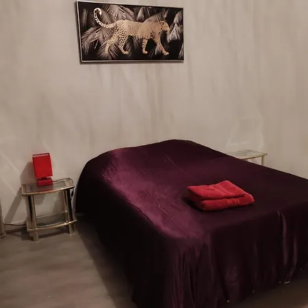 Spacieux Et Lumineux T5 Avec 4 Chambres, Au Centre-ville De Mulhouse, Grand Balcon, Grand écran Plat