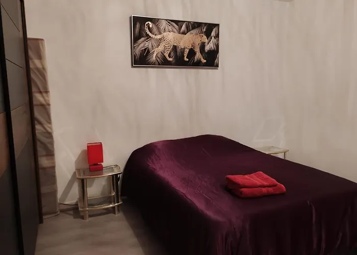 Appartamento Spacieux Et Lumineux T5 Avec 4 Chambres, Au Centre-ville De Mulhouse, Grand Balcon, Grand écran Plat